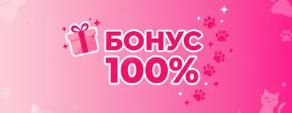Бонус 100%